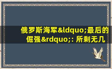 俄罗斯海军“最后的倔强”: 所剩无几的2万吨巡洋舰